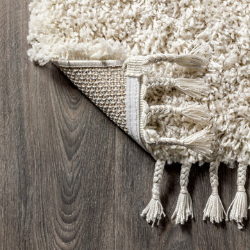 Mercer Shag Plush Tassel Area Rug